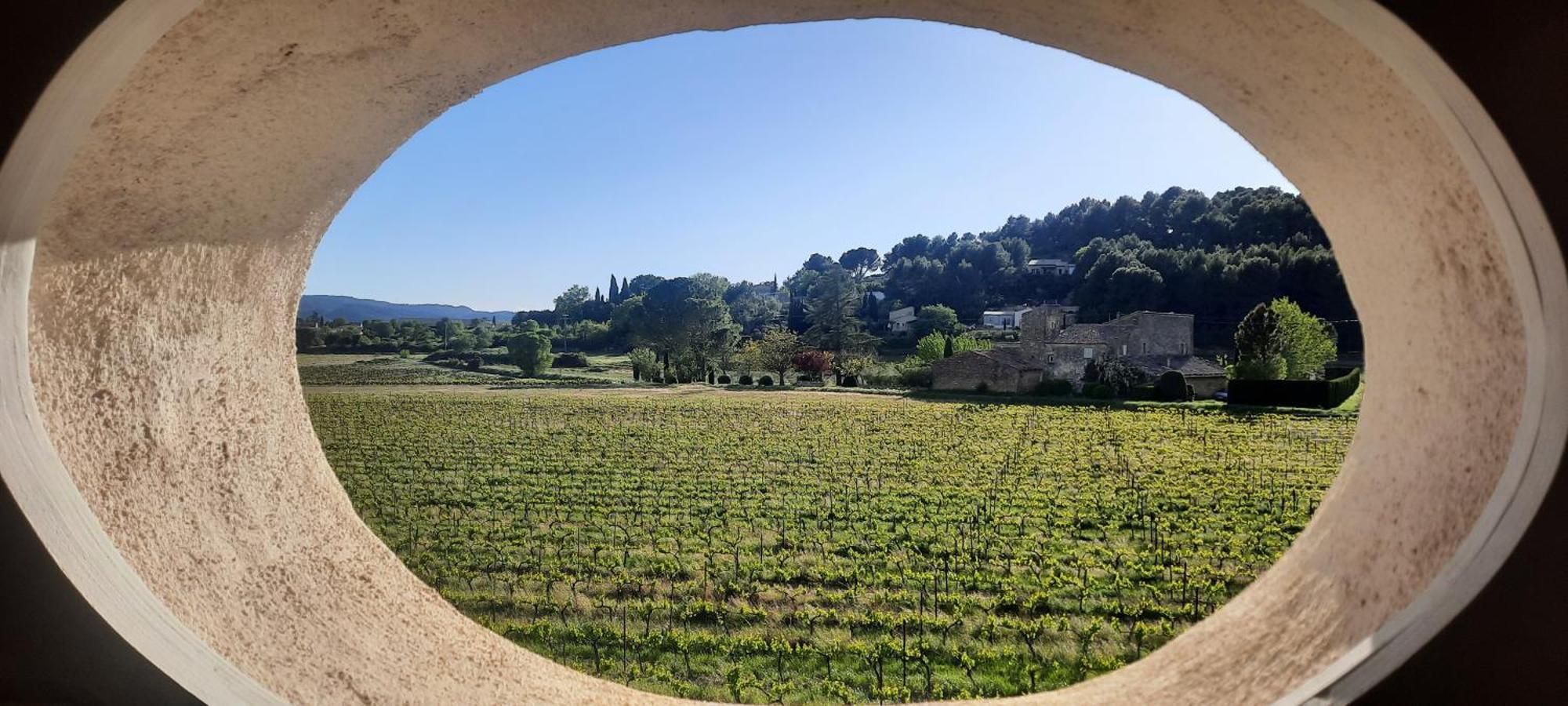 Domaine Des Francobelges - Appartements Lauris Bilik gambar